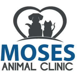 Moses Animal Clinic